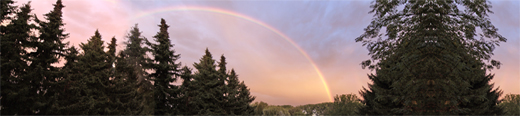 Regenbogen über Köln